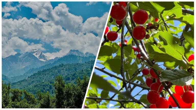 Альпинистка создала в Алматы горный клуб  для девушек