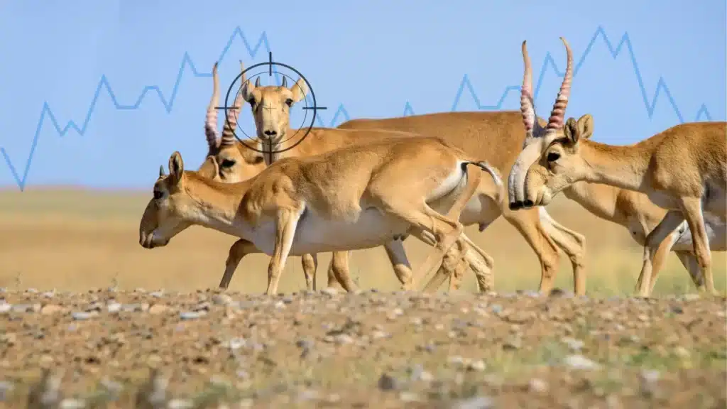 Оралда ақбөкен етінен шұжық жасай бастады