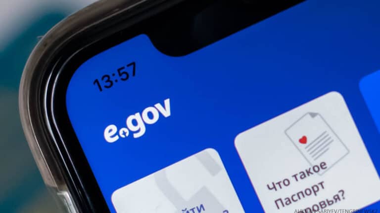 Рразработчик eGov заплатил руководству 101 млн тенге в 2024 году