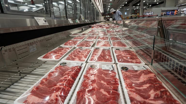Казахстан хочет дополнительно зарабатывать на экспорте мяса 500 млрд тенге в год