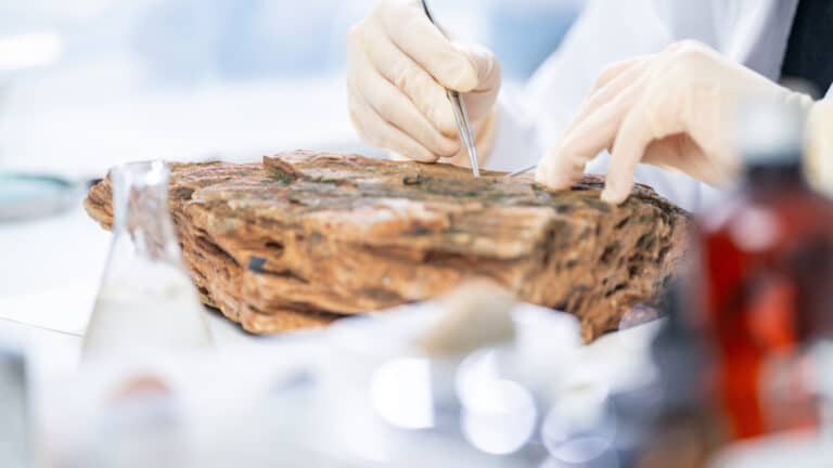 Chinese investors to help assess mineral reserves in Kazakhstan