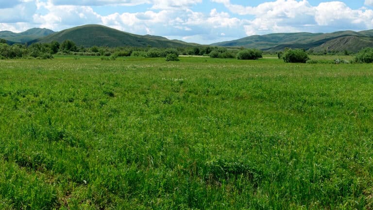 Чеченцы в восторге от красот Восточного Казахстана