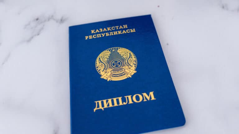 Перизат Кайрат просила подругу помочь «замутить» диплом