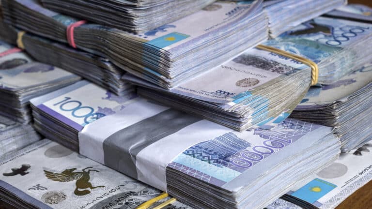 Студентка пожертвовала более 800 тысяч тенге в фонд Перизат Кайрат