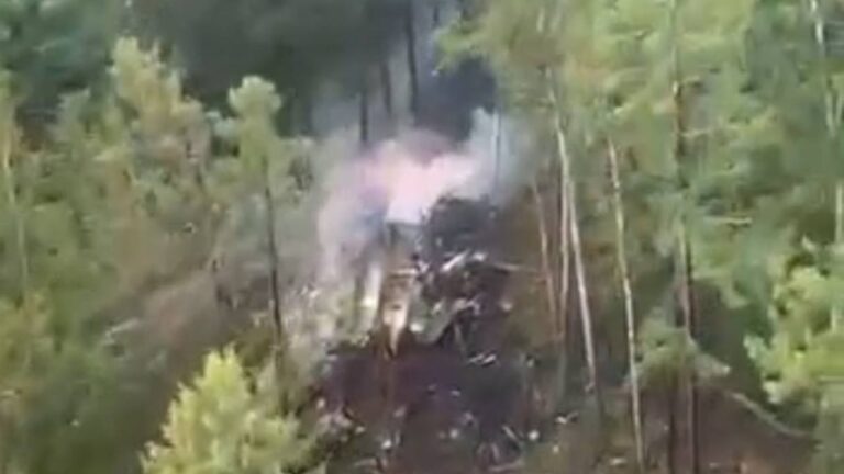 Ресейдегі ұшақ апатының алдын ала себебі айтылды