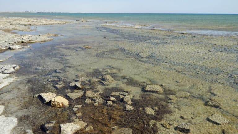Каспийское море обмелело до исторического минимума