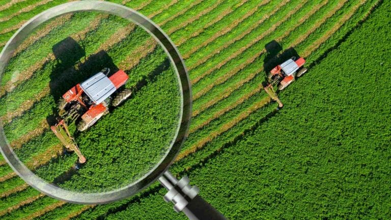 Субсидия алған шаруалар енді мемлекет қаржысының тиімді жұмсалғанын дәлелдеуі тиіс