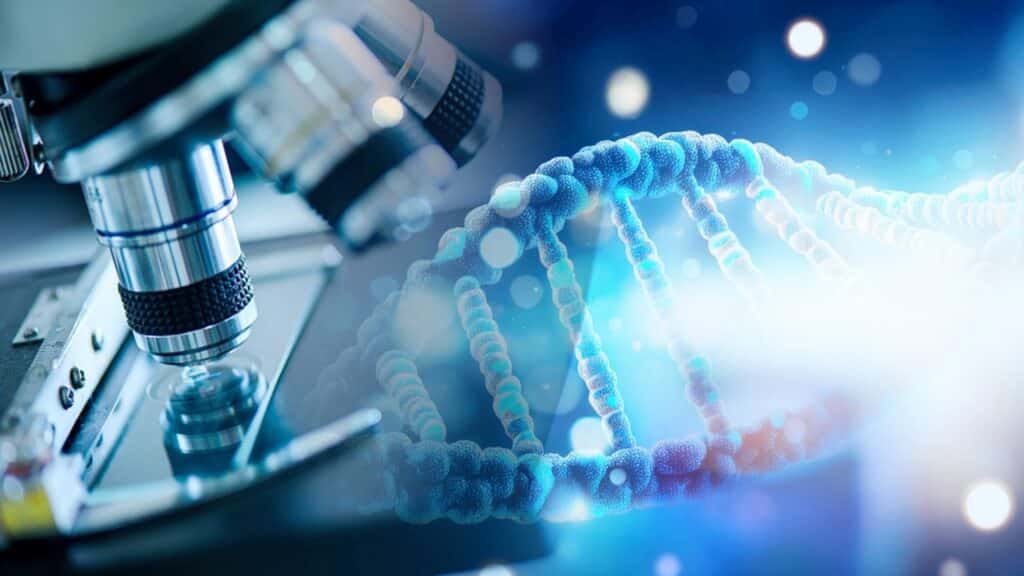 Үш адам қатысатын ЭКО баланы тұқым қуалайтын аурудан сақтайды