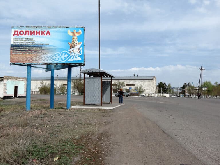 Отравленный скот нашли на пастбище в Карагандинской области