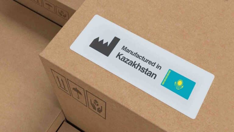 Отандық өндірушіні қорғайтын заң жобасына үкімет неге қарсы?
