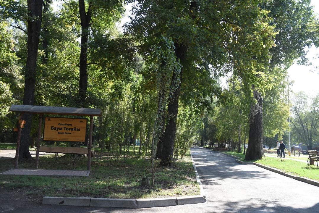 Баум тоғайын абаттандыруға 4,7 млрд теңге жұмсалады