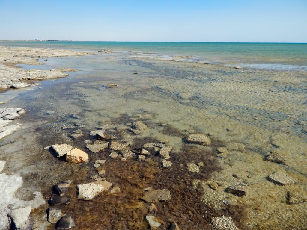 Видео с обмелением Каспийского моря появилось в сети