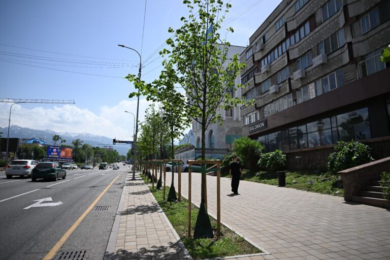 В Алматы посадят еще больше деревьев