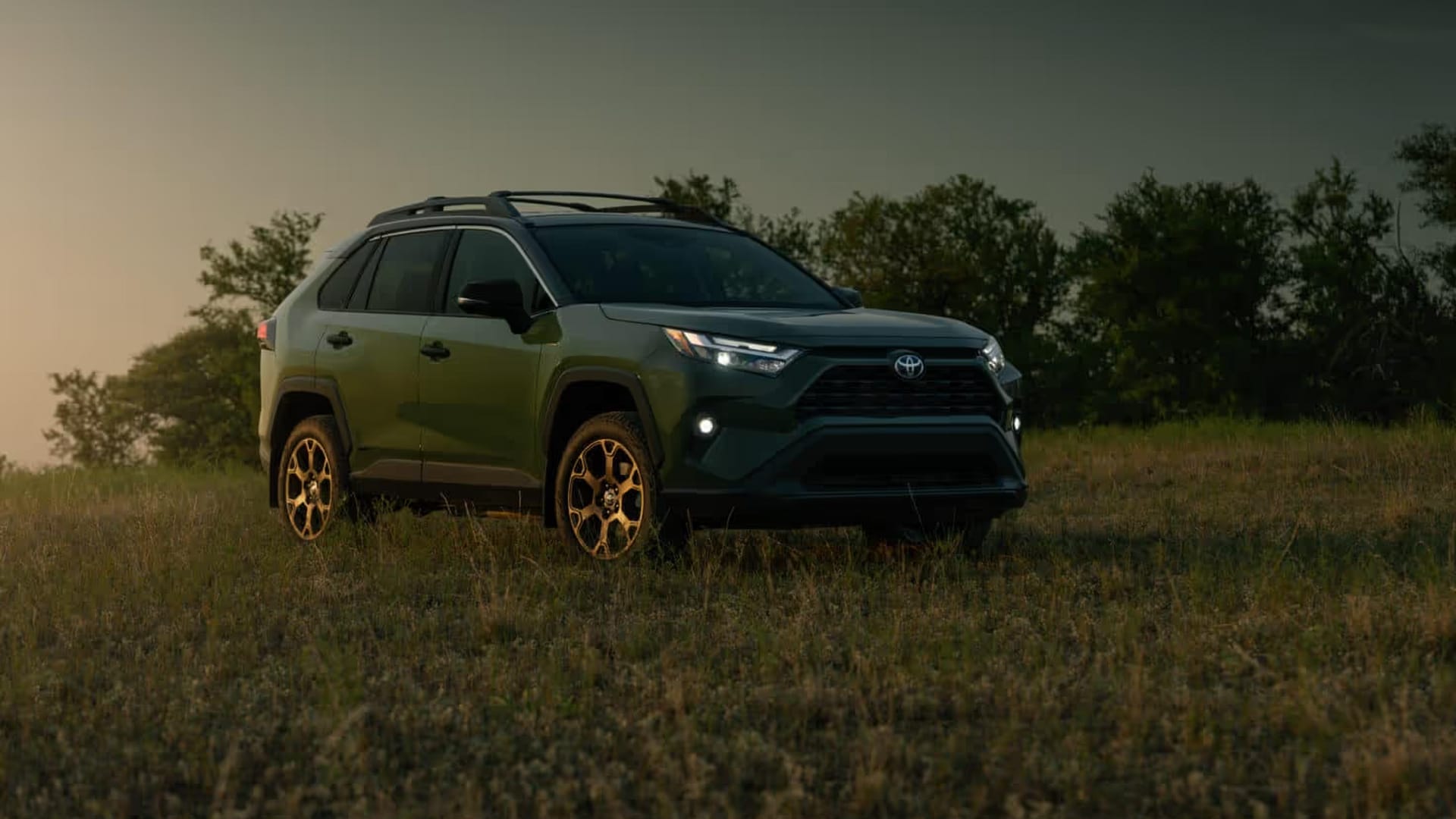 Toyota RAV4. тойота рав4