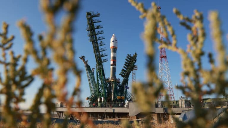 Школьные проекты с насекомыми и мышами запустят в космос с Байконура