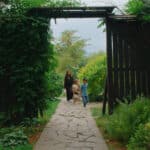 ботанический сад