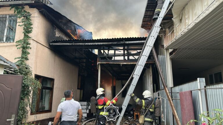 Пожарных раскритиковали за тушение пожара в предгорьях Алматы