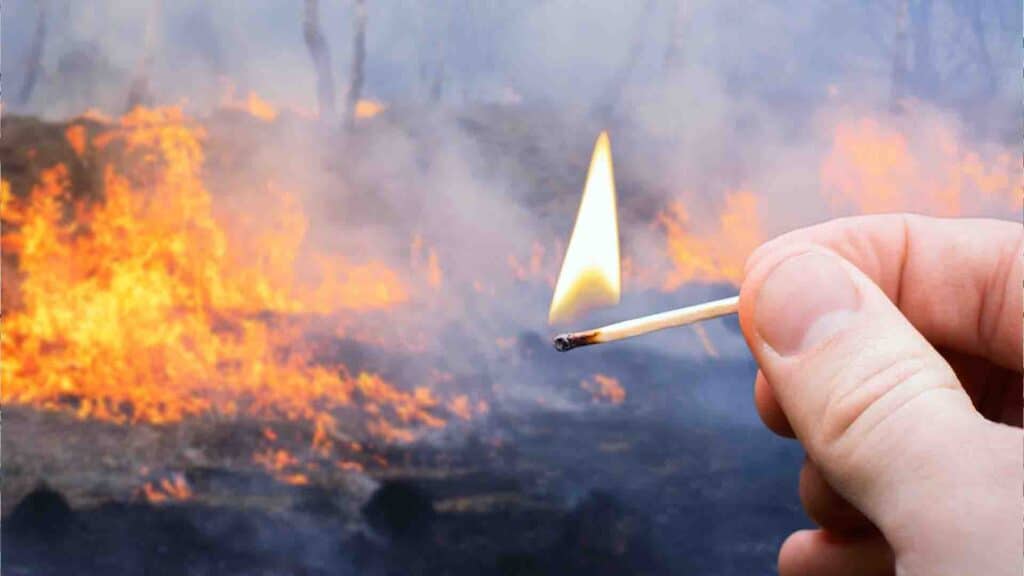 Талғарда екі қарт кісіні өлтіріп, үйін өртеген күдіктіні іздеп жатыр