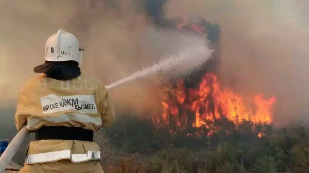 Трава загорелась на склоне гор в Алматы