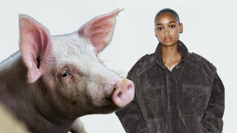 Казахстанцев предупредили о коллекции из свиной кожи в Zara
