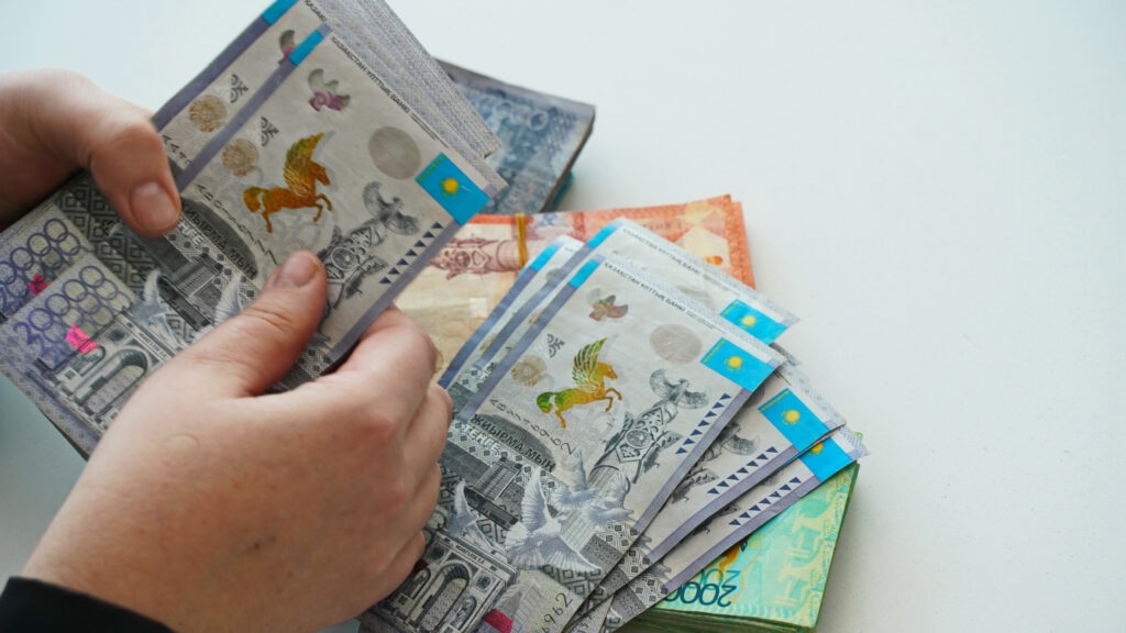 Стало известно, на что тратит миллион тенге одна семья в Казахстане