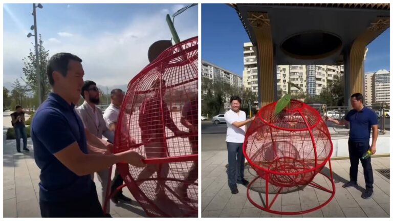 На Сайране установили «яблоко» для сбора отходов