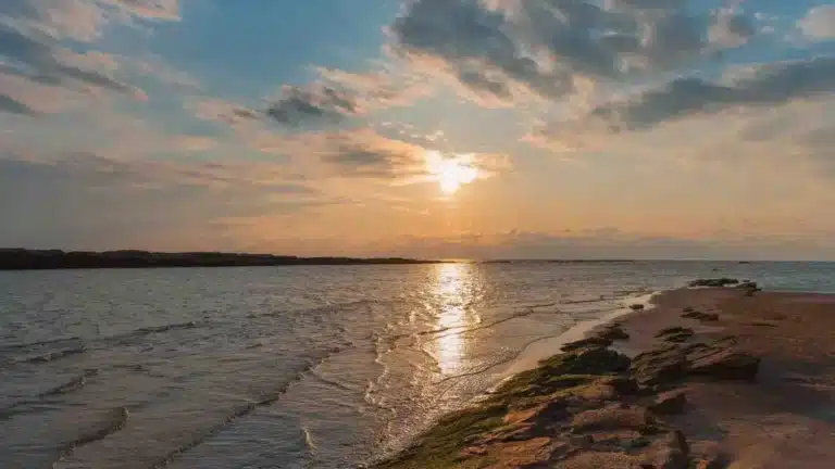 Соңғы төрт жылда Каспий теңізінің деңгейі 24 см-ге төмендеген