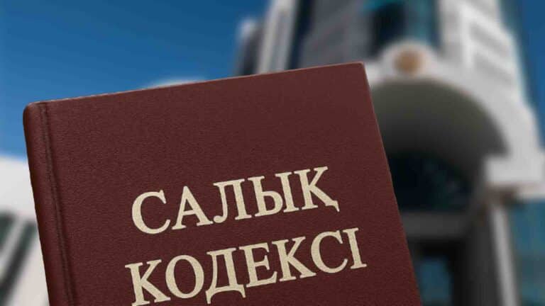 Вице-премьер жеңілдігі бар салық тәртібіне кімдер ілігетінін айтты