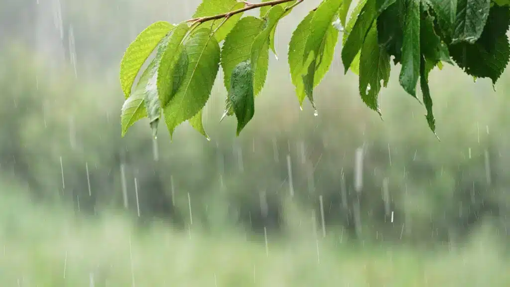 Ауа-райы құбылмалы болмақ /фото: shutterstock