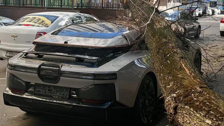 В Алматы на китайский спорткар рухнуло дерево