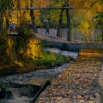 терренкур осень