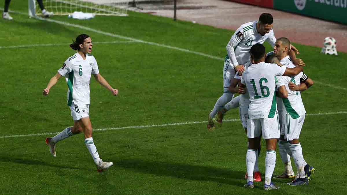 Футбольная сборная Алжира квалифицировалась на Кубок мира-2026 Algeria, World Cup, 2026, FIFA