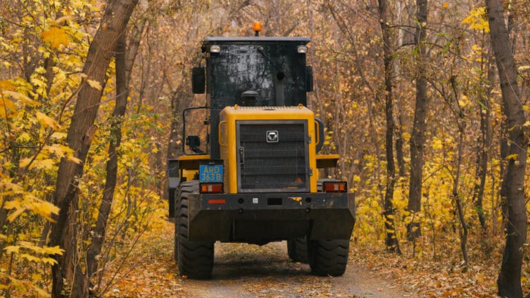 Что происходит с деревьями в роще Баума в Алматы