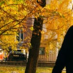 терренкур осень