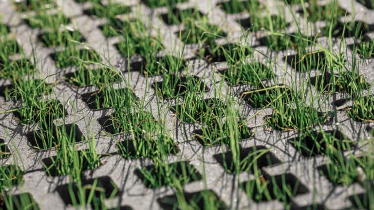 Алматинцы возмущены тем, что экоплитки на реке Есентай закатали в бетон