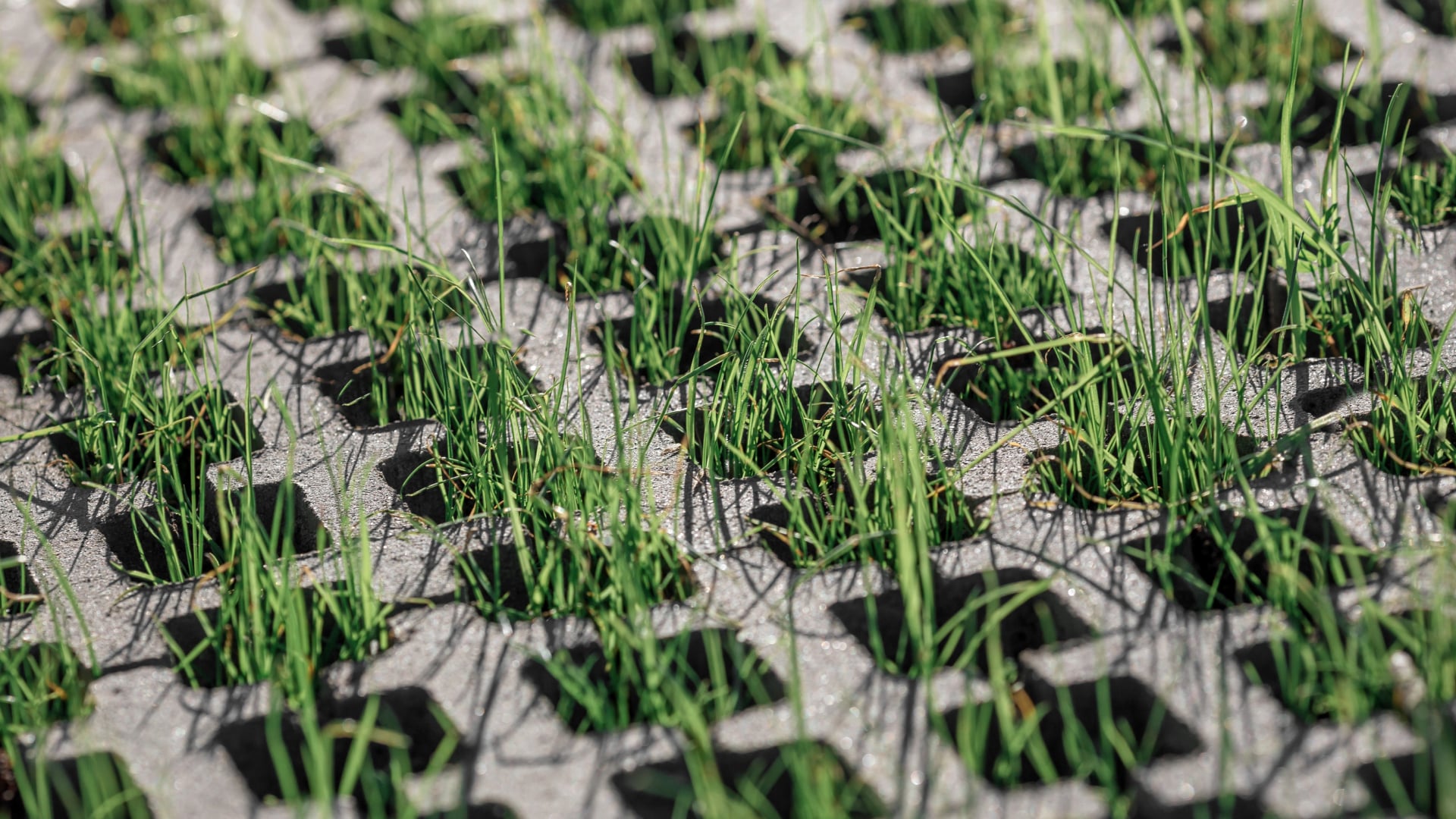 Алматинцы возмущены тем, что экоплитки на Весновке закатали в бетон