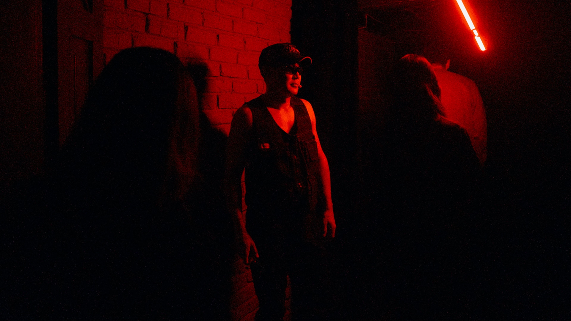 Артишок Dark room
