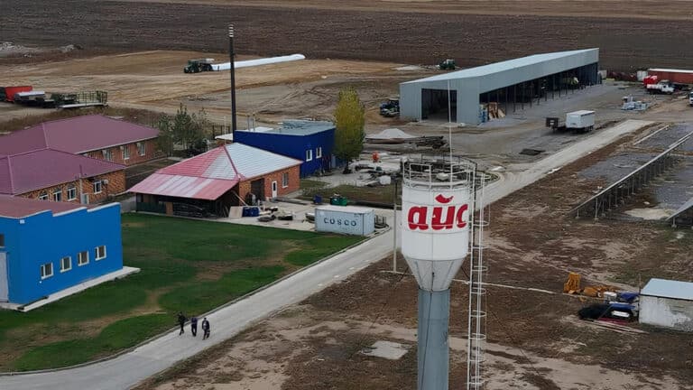 Компания экс-депутата привезет 800 коров из Дании для новой фермы за 5,3 млрд тенге