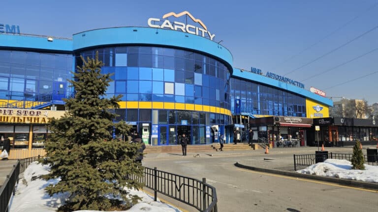 Тимур и Динара Кулибаевы получат миллионные дивиденды от ТЦ «Car City» в Алматы
