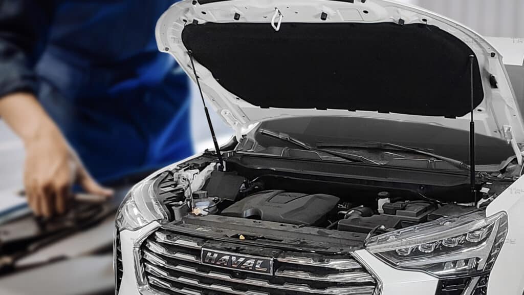 Дилера Haval в Жетысу уличили в нарушении закона