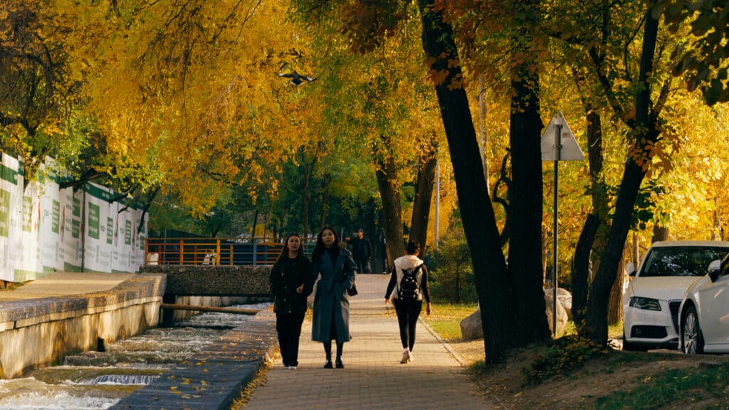 терренкур осень