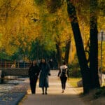 терренкур осень