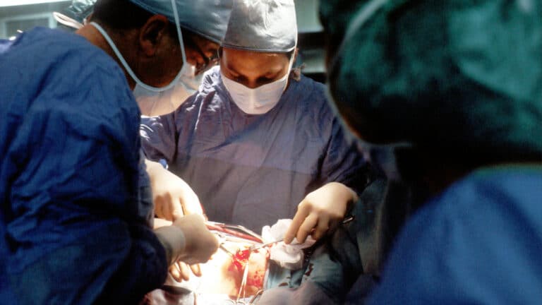 China performs world's first pig liver transplant in a living human