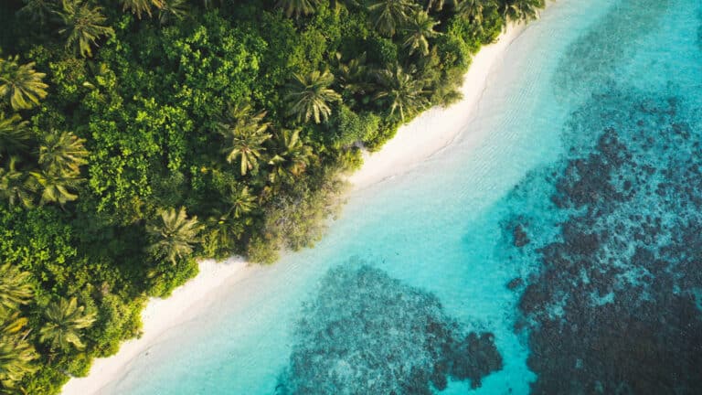 Woman dies after being left by cruise ship on small island