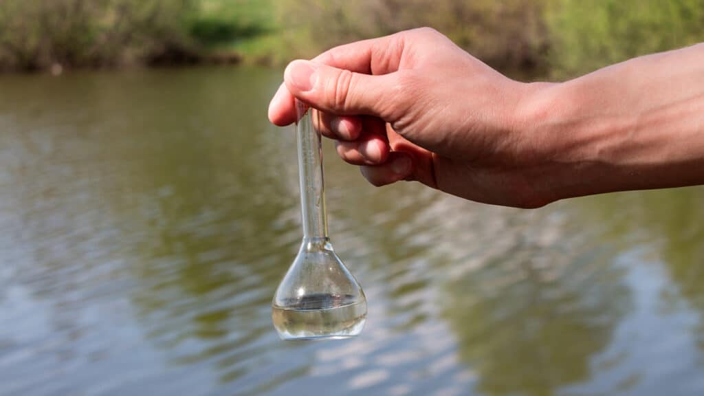 В ботанический сад Балхаша попали токсичные вещества от ТЭЦ