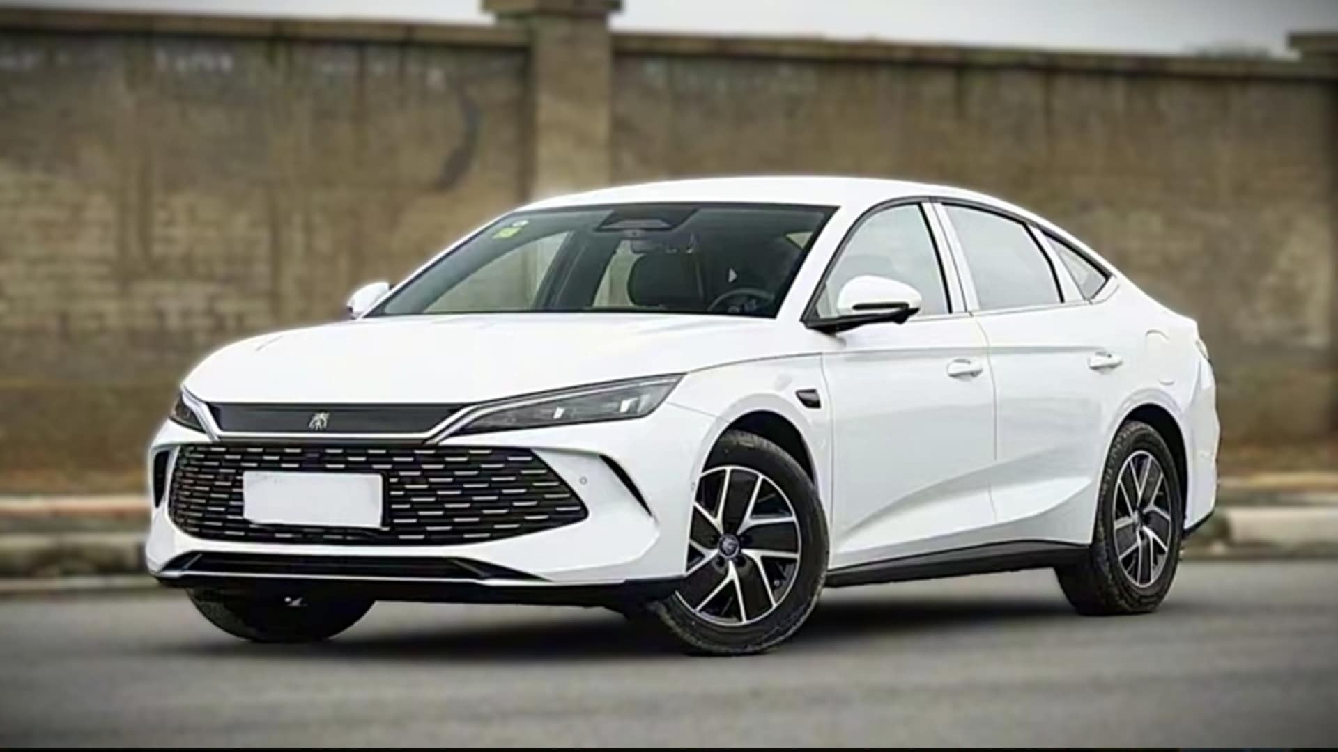 гибрид byd Qin L 2026