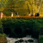 терренкур осень