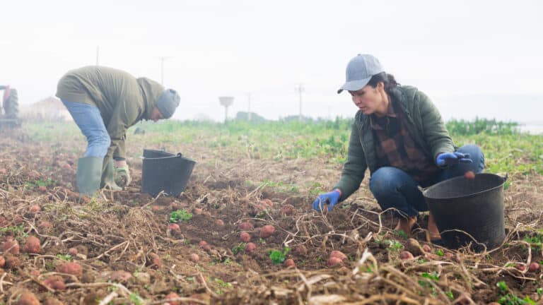 Ресей, Корея мен Польша: Қазақстанның қанша азаматы шетелде жұмыс істеп жүр