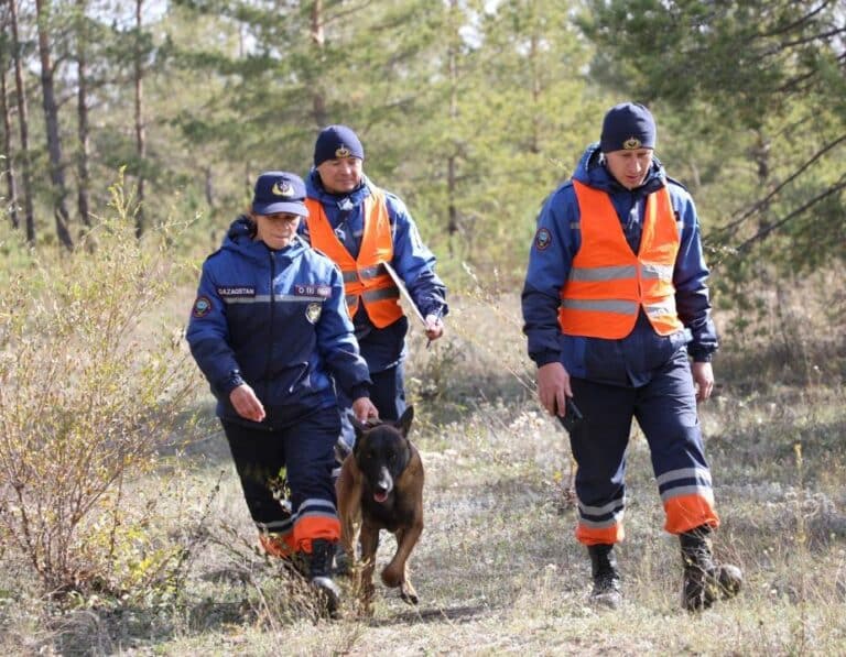 Пьяный турист обматерил спасателей и отказался от помощи в горах Алматы