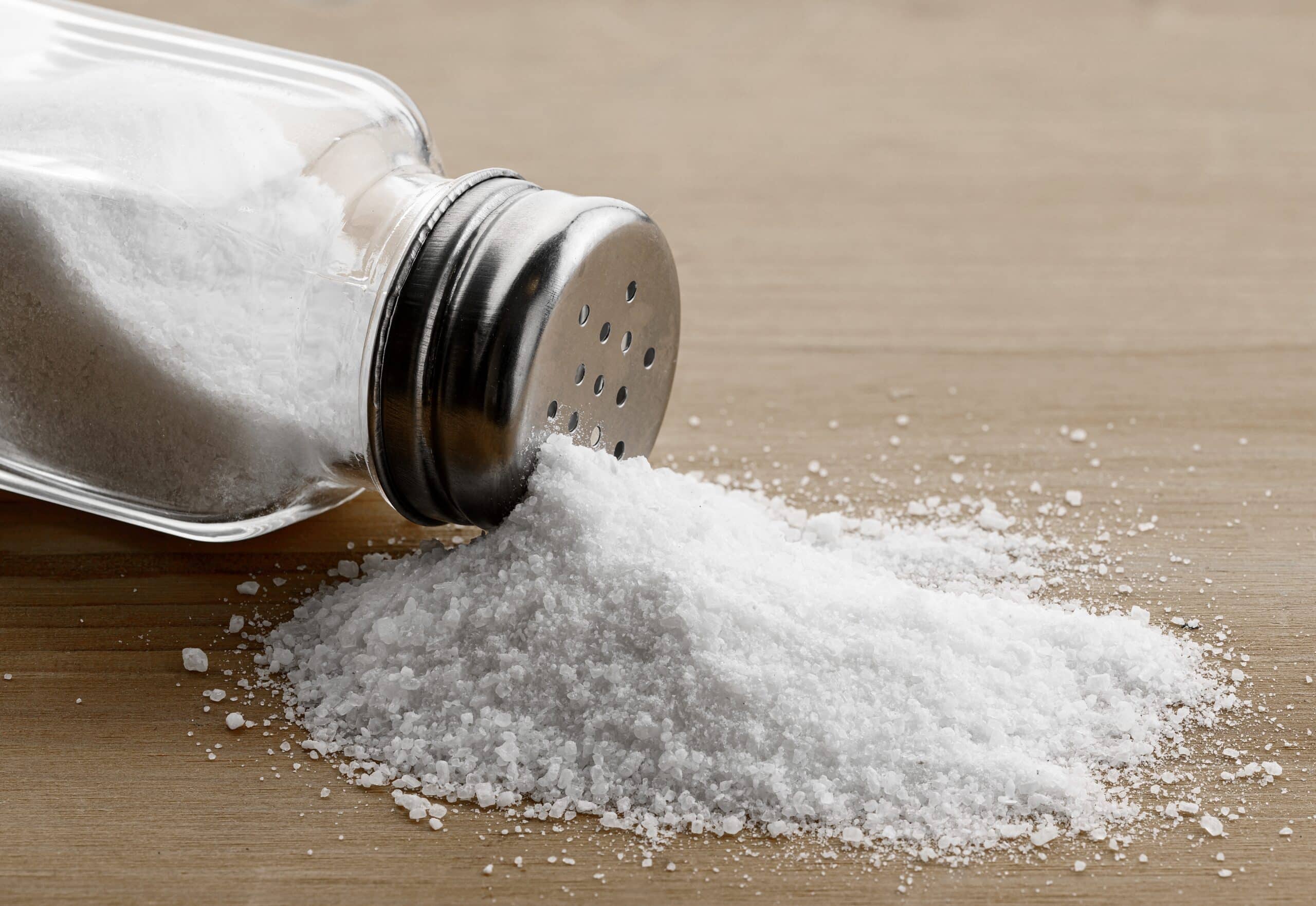 salt, career